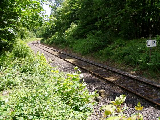 Streckensteigung zwischen Kilometer 2,2 und 2,4 mit LP Signaltafel für BÜ "Oppermannswiesenschneise" Bild