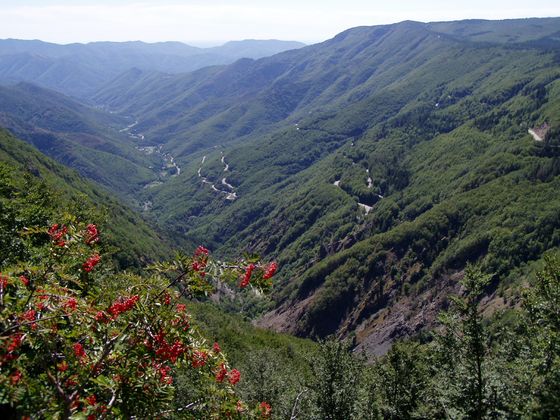 Das Hérault-Tal von der Südflanke des Mt-Aigoual Bild