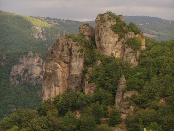 Canyon de la Dourbie bei Revens Bild