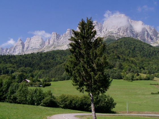 In der Nähe von Château-Bernard Bild