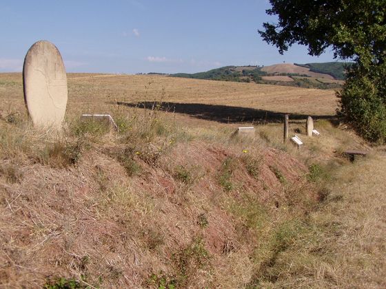 Statues-Menhirs des Ardaliès Bild