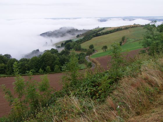 Tarntal am Morgen Bild