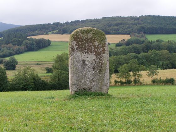 Pierre Plantée bei Lacaune Bild