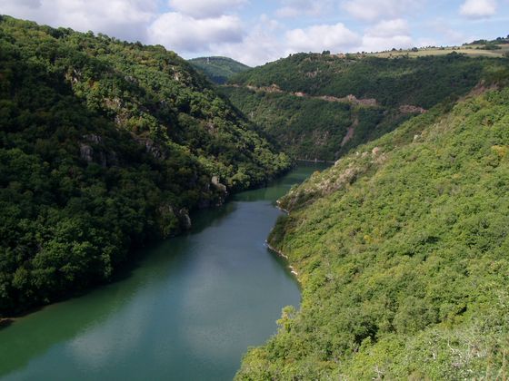 Tarn oberhalb der Barrage de Pinet Bild