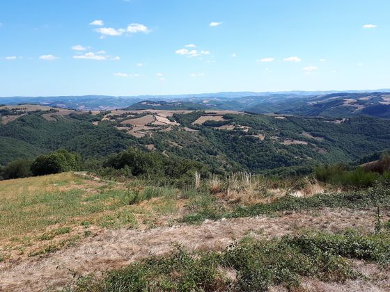 Blick über das Tarntal (Einschnitt im Vordergrund zu den Monts de lacaune (am Horizont) Bild