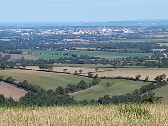 Blick auf Rodez Bild
